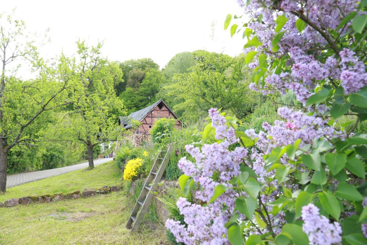 Hotel Hofgut Langenborn Wohnen Auf Zeit Moeblierte Aschaffenburg Alzenau Frankfurt